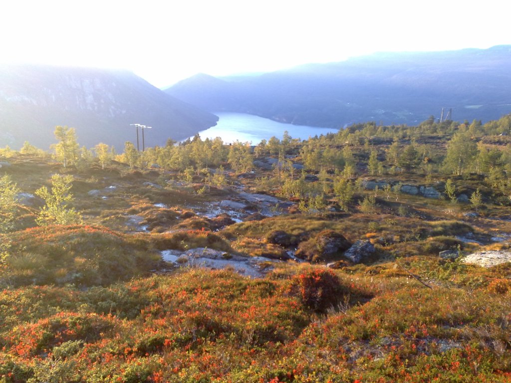 På fjellet